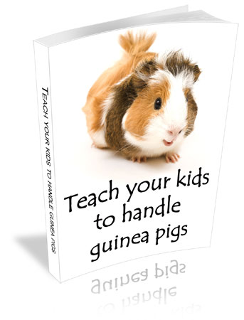 guinea pigs for kids book