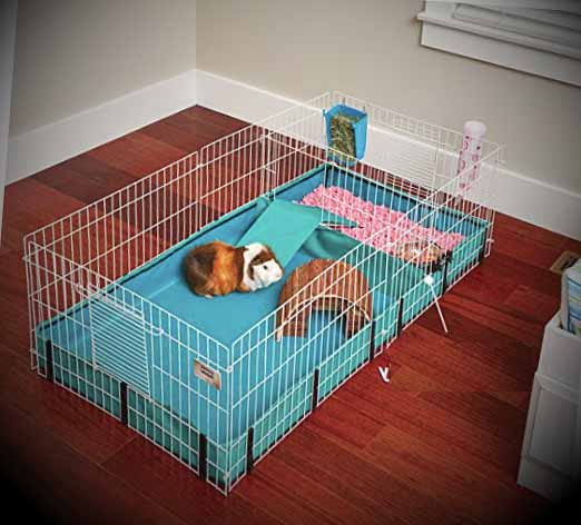 Guinea Pig Cage